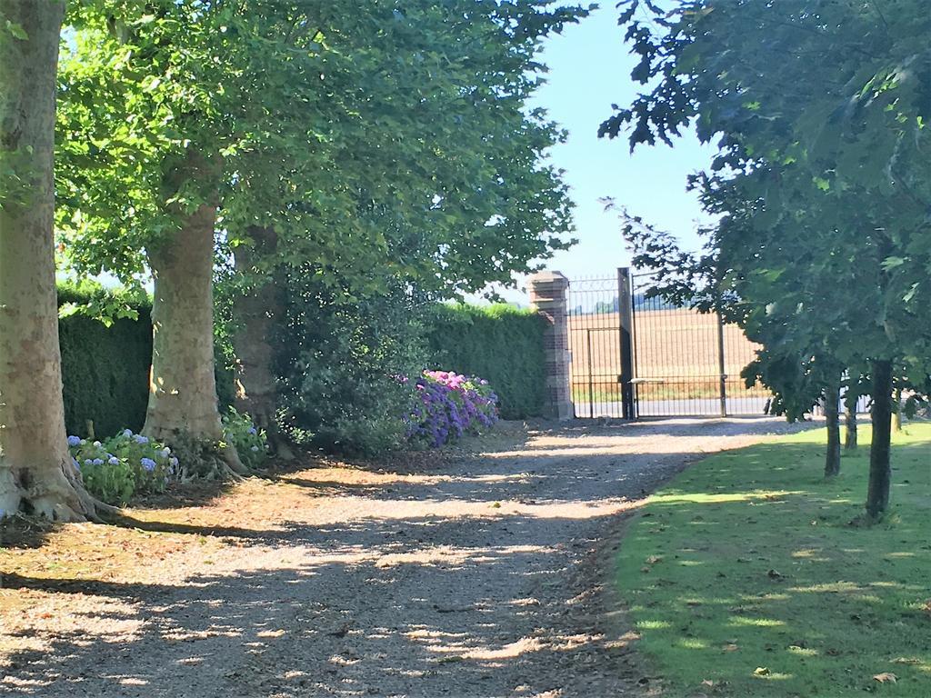 Domaine Du Chateau De Bourville Bermonville Kültér fotó